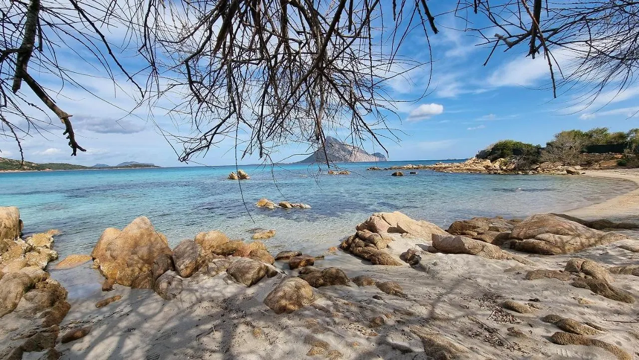 Villa Con Piscina Luna Rossa San Teodoro  Italy