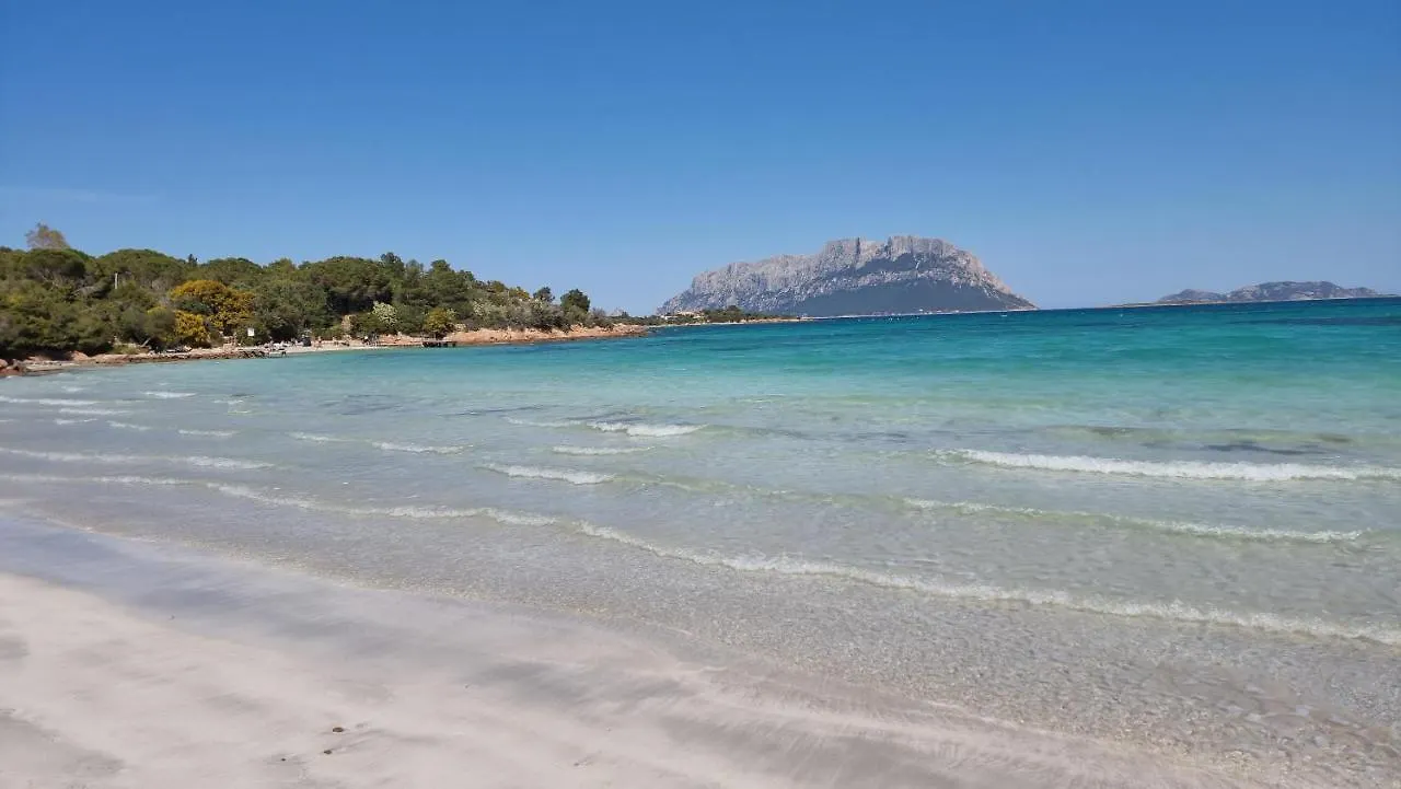 Villa Con Piscina Luna Rossa San Teodoro  0*, San Teodoro (Sardinia) Italy