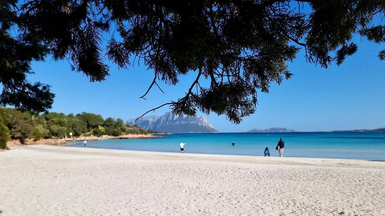 Villa Con Piscina Luna Rossa San Teodoro   San Teodoro (Sardinia)